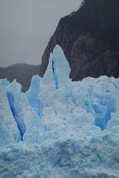 /galleries/chile_2026_01_02_San_Rafael_Glacier/046_lobster_claw_[2026-01-02-14:01:26-0300].thumbnail.jpg